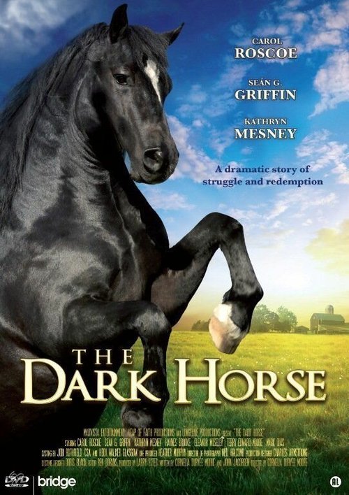 Постер фильма The Dark Horse