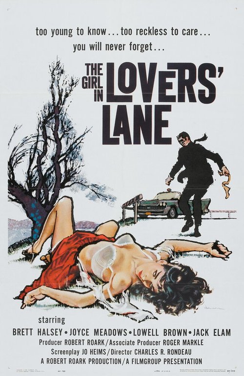 Постер фильма The Girl in Lovers Lane