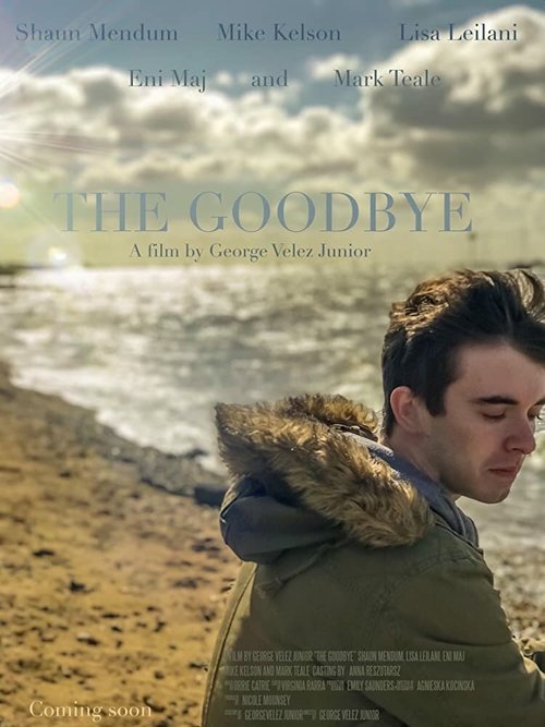 The Goodbye скачать