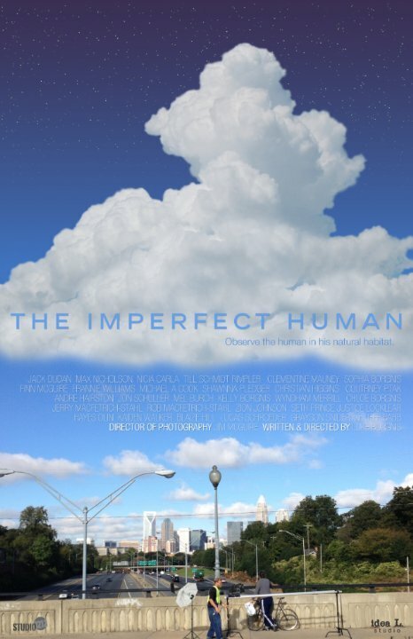 Постер фильма The Imperfect Human