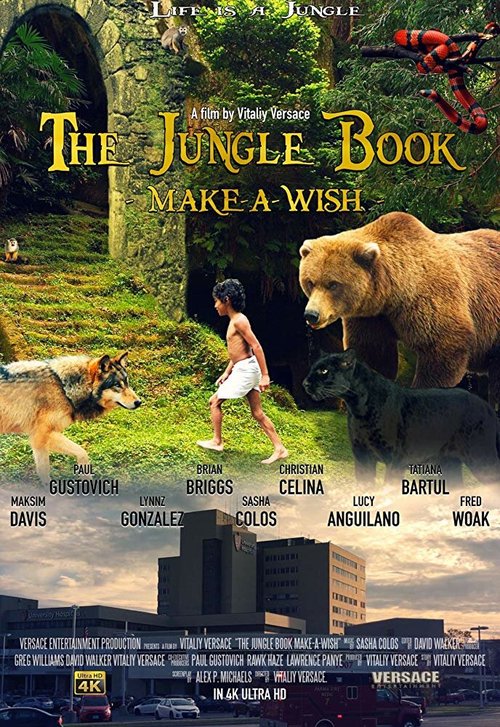 The Jungle Book: Make-A-Wish скачать