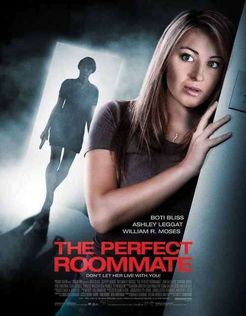 Постер фильма The Perfect Roommate