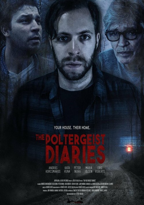 Постер фильма The Poltergeist Diaries