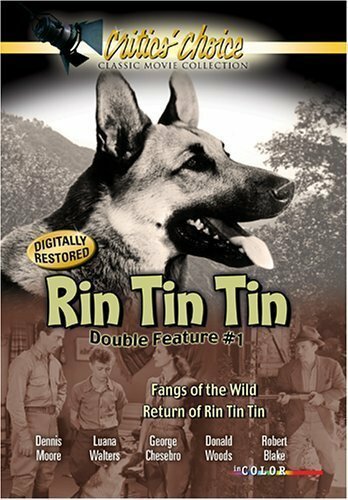 Постер фильма The Return of Rin Tin Tin