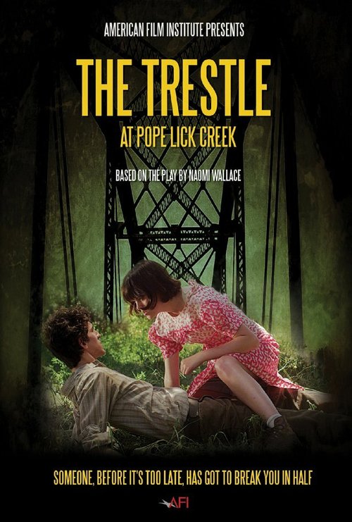 Постер фильма The Trestle at Pope Lick Creek