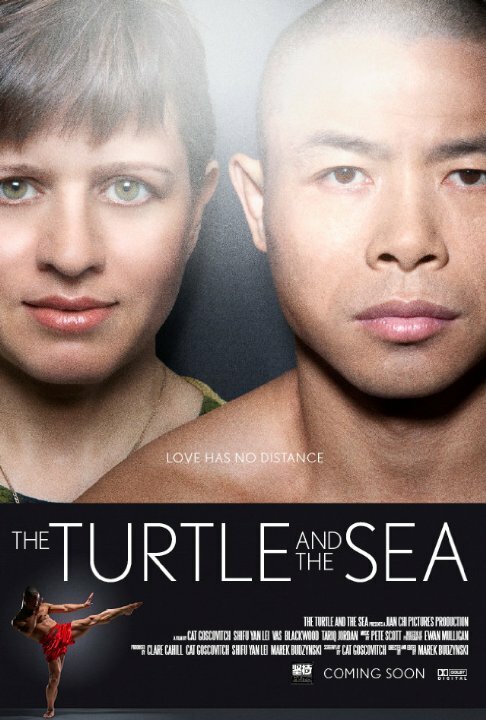 Постер фильма The Turtle and the Sea