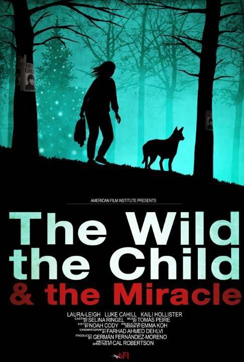 Постер фильма The Wild, the Child & the Miracle