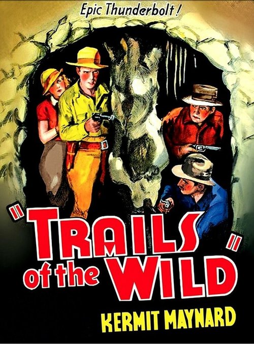 Постер фильма Trails of the Wild