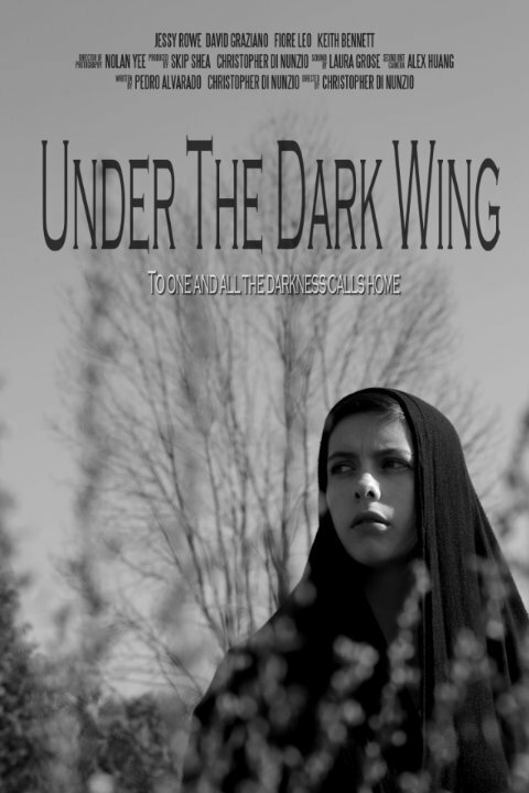 Постер фильма Under the Dark Wing