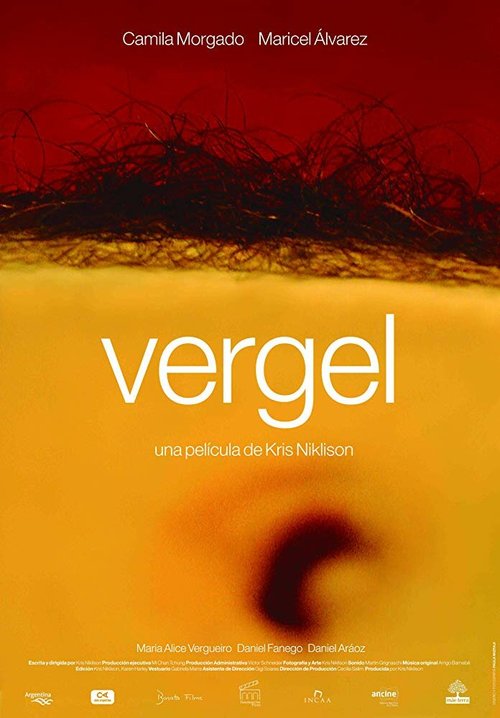 Постер фильма Vergel