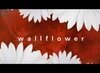 Wallflower скачать