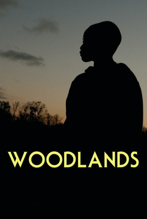 Постер фильма Woodlands