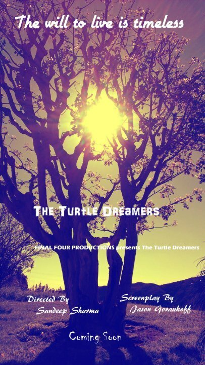 The Turtle Dreamers скачать