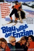 Постер фильма Blau blüht der Enzian