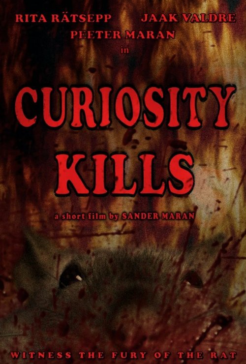 Curiosity Kills скачать