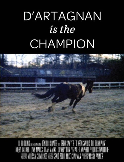 Постер фильма D'artagnan is the Champion