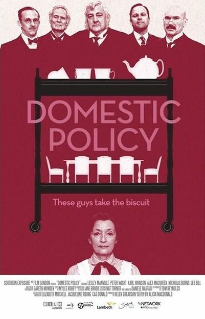 Domestic Policy скачать