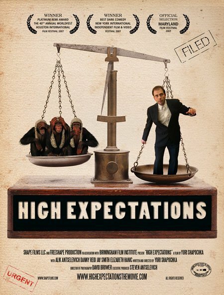 Постер фильма High Expectations