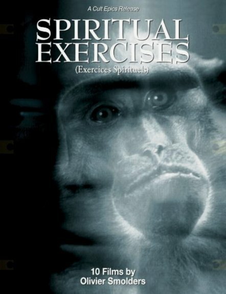 Экстазы скачать