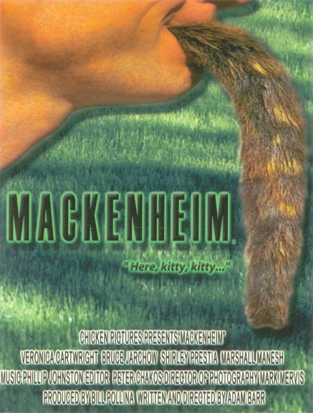 Постер фильма Mackenheim