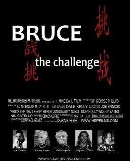 Bruce the Challenge скачать