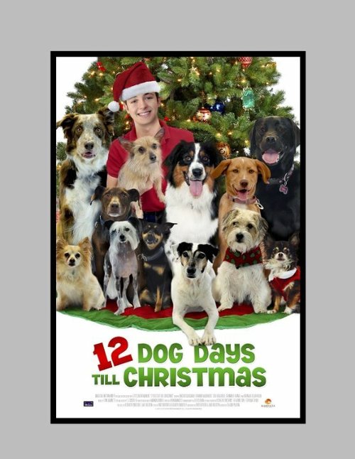 12 Dog Days of Christmas скачать