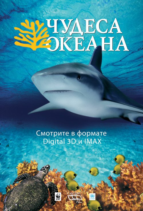 Чудеса океана 3D скачать