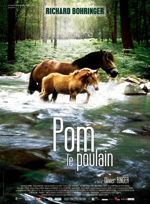 Pom, le poulain скачать