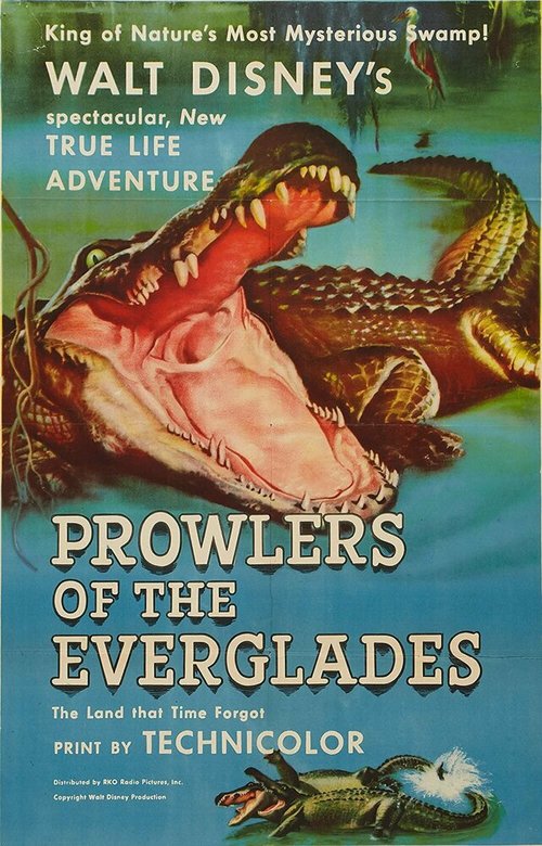 Prowlers of the Everglades скачать
