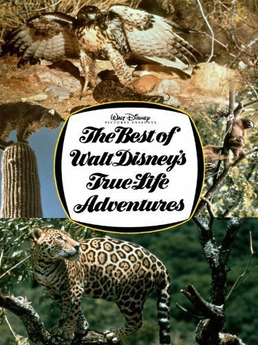 The Best of Walt Disney's True-Life Adventures скачать