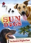 Постер фильма Sun Dogs