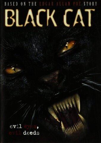 Постер фильма Черная кошка